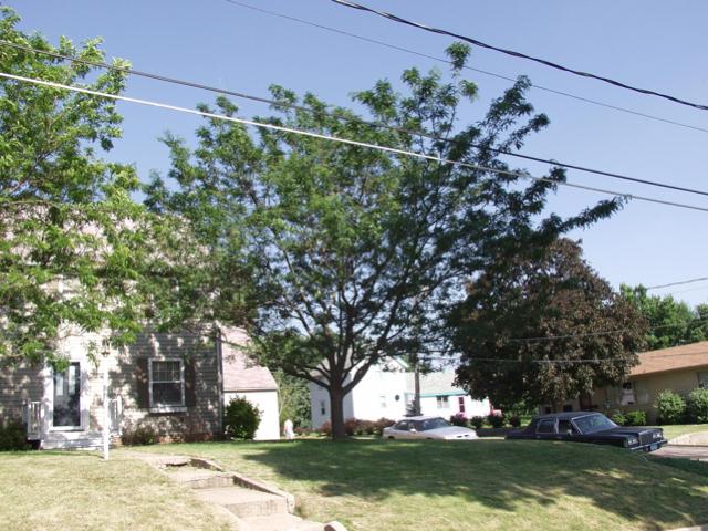 P6301608